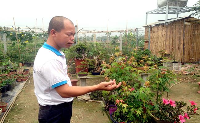 Lão nông Nguyễn Phú Cường ở Hà Nội cũng là người có bộ sưu tập cây độc nhất vô nhị tại Việt Nam. 
