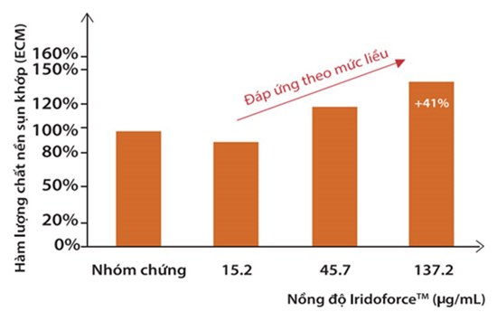 Thiếu hụt chất nền sụn khớp - Thủ phạm "sâu xa" gây đau nhức và thoái hoá xương khớp - 3