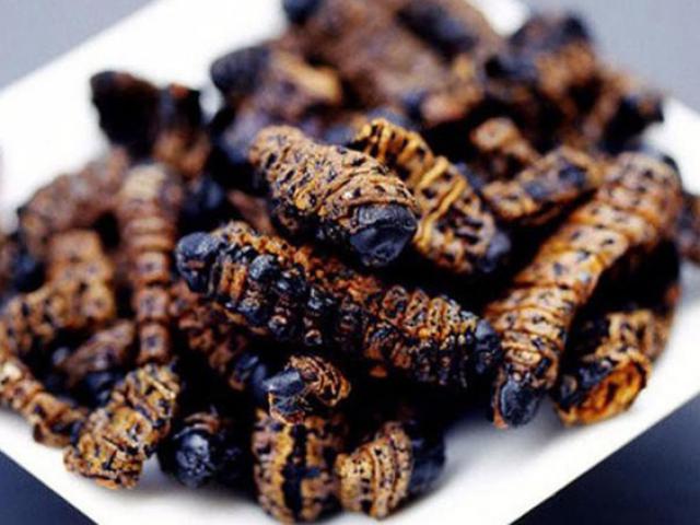 Thị trường - Tiêu dùng - "Lộc trời" nhìn đã thấy rùng mình, không ngờ là đặc sản đắt hơn tôm hùm, 14 triệu đồng/kg