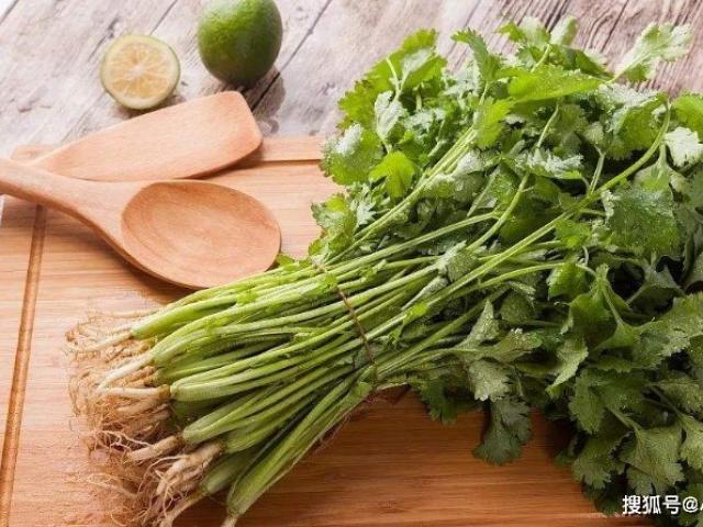 Ẩm thực - Cho rau mùi vào nồi đun 10 phút, nhận được 1 loại thức uống ví như "thần dược"