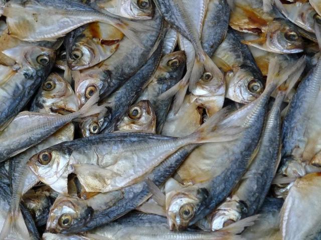 Ẩm thực - Bộ phận "bẩn" nhất trên con cá, chứa nhiều ký sinh trùng nhưng nhiều người cực thích ăn