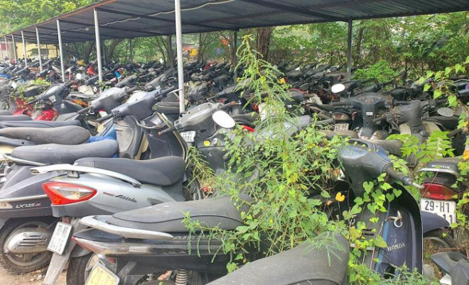 Nhiều phương tiện vi phạm giao thông người vi phạm bỏ không đến giải quyết tại bãi xe Giang Linh trên địa bàn quận Hoàng Mai