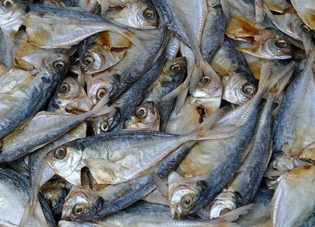 Bộ phận "bẩn" nhất trên con cá, chứa nhiều ký sinh trùng nhưng nhiều người cực thích ăn - 1