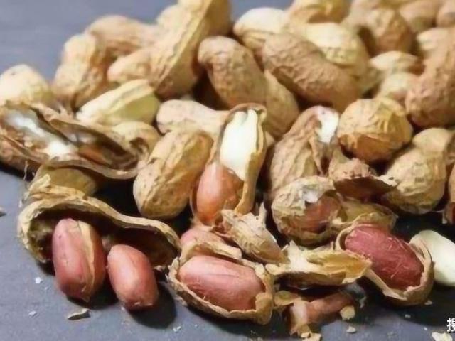 Ẩm thực - Đừng vội vứt vỏ lạc, đun sôi lấy nước có thể chữa được 3 loại bệnh