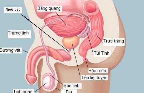 Căn bệnh nam giới U50 ai nghe cũng sợ, hãy thay đổi ngay 4 thói quen này, nếu có dấu hiệu cần được khám ngay - 1