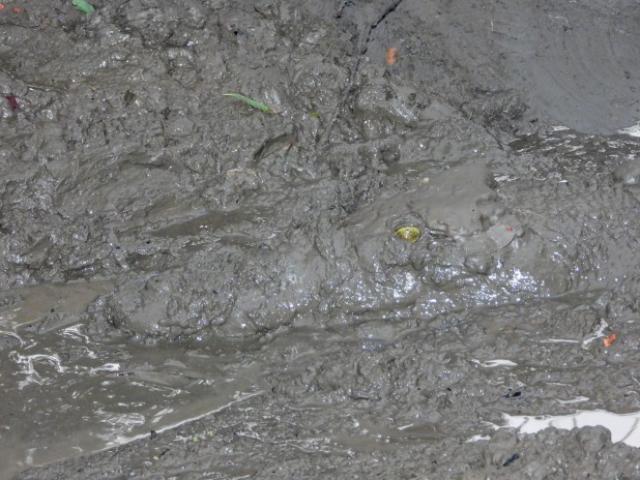 Phi thường - kỳ quặc - Bức ảnh bình thường nhưng ẩn giấu kẻ săn mồi đáng sợ