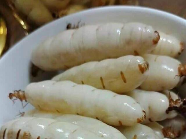 Thị trường - Tiêu dùng - 3 loại đặc sản ở Việt Nam được ví như "thần dược phòng the", nhiều người lùng mua