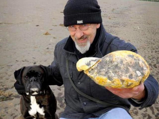 Thị trường - Tiêu dùng - Chó cưng tha về thứ có mùi lạ hóa ra là "kho báu" giúp chủ nhân đổi đời trong chớp mắt