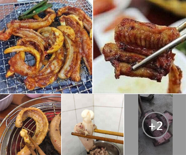 Loài cá đặc sản ở Việt Nam nhìn như &#34;quái vật&#34;, xưa giá &#34;rẻ như cho&#34; nay lên tới 400.000 đồng/kg - 4