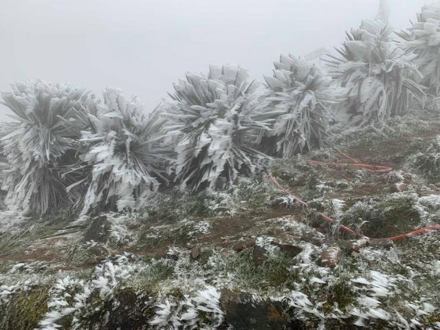 Tin tức trong ngày - Miền Bắc chuyển mưa rét, nơi nào có thể xuất hiện băng giá?