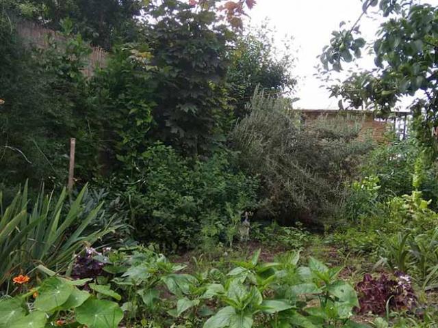 Giáo dục - du học - Những con vật này đang lẩn trốn một cách tinh vi, bạn có nhìn thấy nó không?