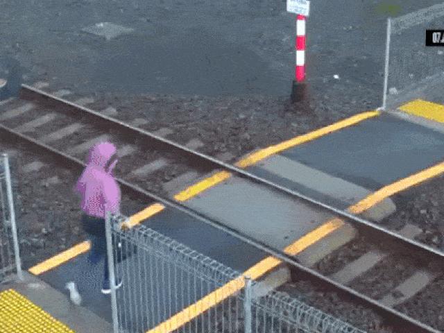 Cười 24H - Bao người thót tim với những pha thoát hiểm thần kỳ trong gang tấc