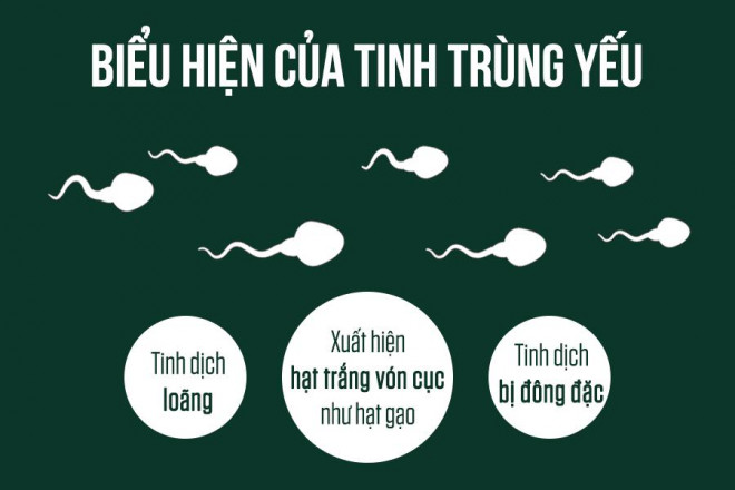 Tinh trùng yếu và thiếu- Cách nhận biết và khắc phục - 1