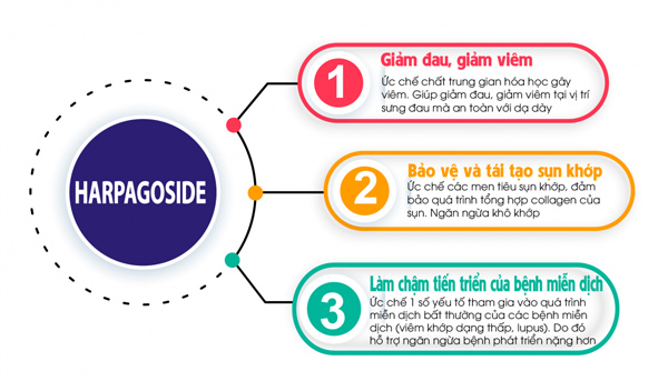 Xoa bóp giúp giảm đau khớp gối, thoái hóa khớp - Hiệu quả lâu dài - 5