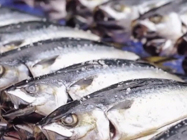 Ẩm thực - 5 loại cá "bẩn nhất chợ", chẳng những không ngon mà còn gây bệnh