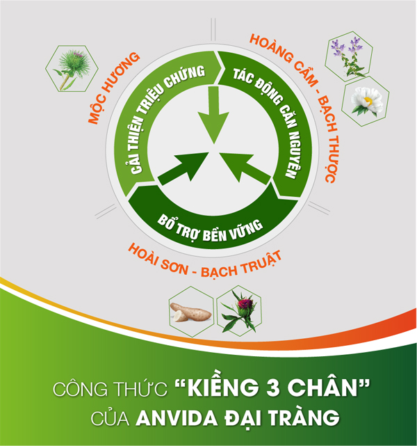 Anvida đại tràng giá bao nhiêu và mua hàng chính hãng ở đâu? - 2