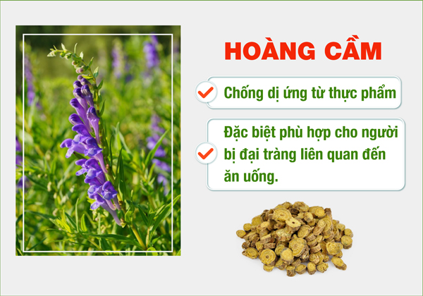 Anvida đại tràng giá bao nhiêu và mua hàng chính hãng ở đâu? - 3