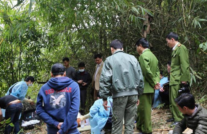Những vụ án xảy ra ở rừng núi thương rất phức tạp (ảnh minh họa)