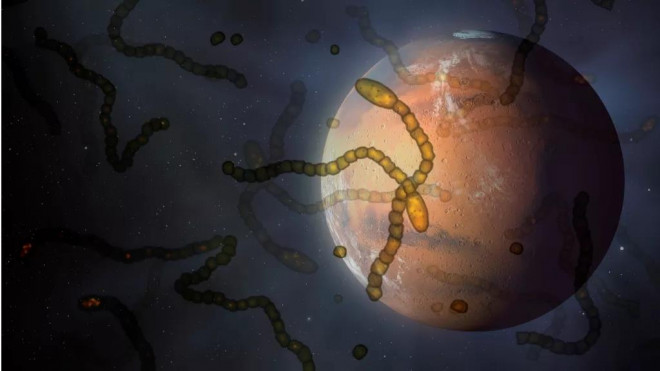 Vi khuẩn và virus ngoài hành tinh có thể đe dọa Trái Đất - Ảnh đồ họa từ Mark Garlick
