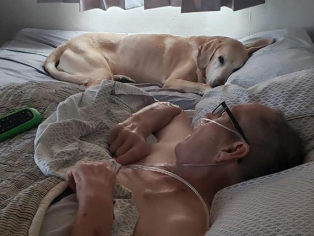 Bạn trẻ - Cuộc sống - Chú chó trung thành túc trực bên chủ nhân bị ung thư suốt 9 năm, cả hai ra đi cách nhau 90 phút