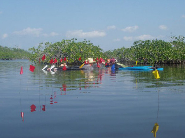 Du lịch - Kinh ngạc "thế giới vượt thời gian" của người Maya giấu dưới đầm nước