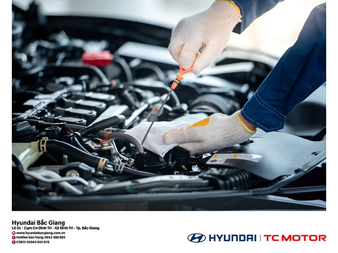 Hyundai Bắc Giang tổ chức chương trình khuyến mại “Chăm sóc xế cưng – Tưng bừng đón Tết” - 2