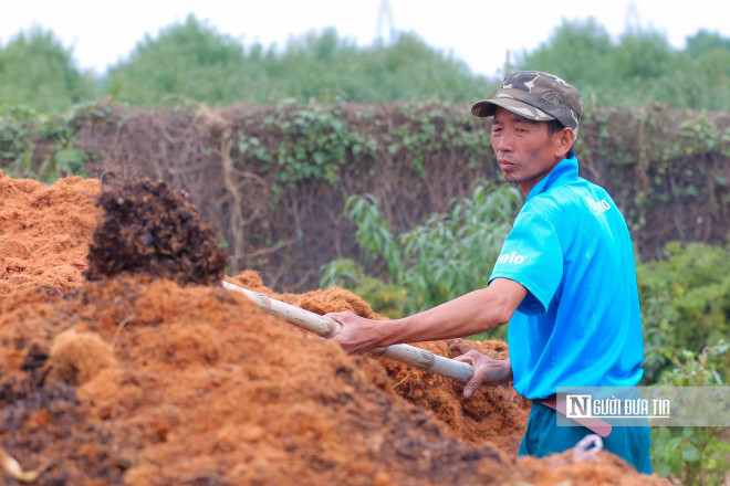 Nông dân Nhật Tân lắp điều hoà cho đào đón Tết Nhâm Dần 2022 - 8