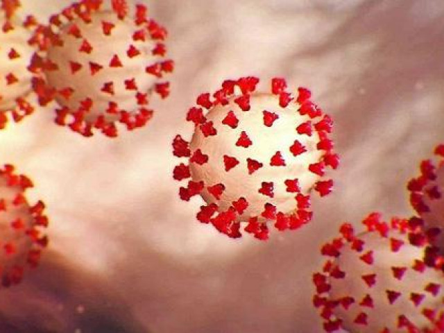 Sức khỏe đời sống - Tình trạng sức khỏe sẽ ra sao khi bị tái mắc COVID-19?