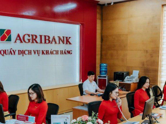 Kinh doanh - Agribank bán đấu giá khoản nợ thế chấp bằng 6 triệu cổ phần EVF