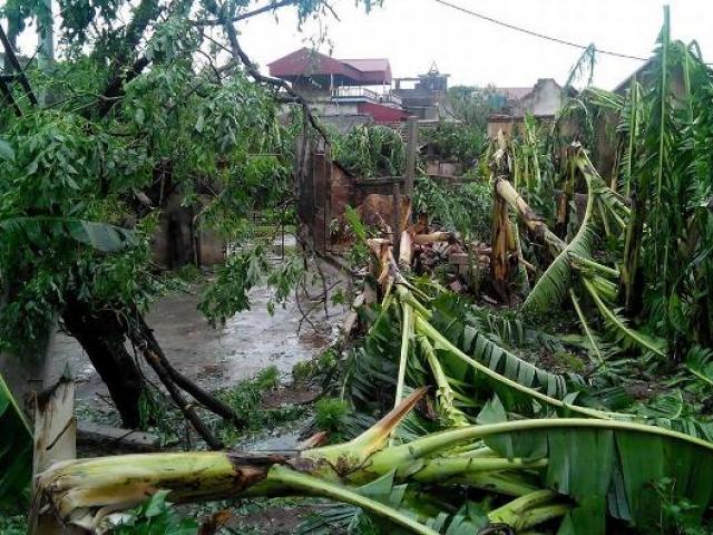 Tin tức trong ngày - Nóng trong tuần: Chỉ đạo kiểm điểm từ cấp huyện đến xã vụ dân nhận 2.000 đồng tiền hỗ trợ mưa bão