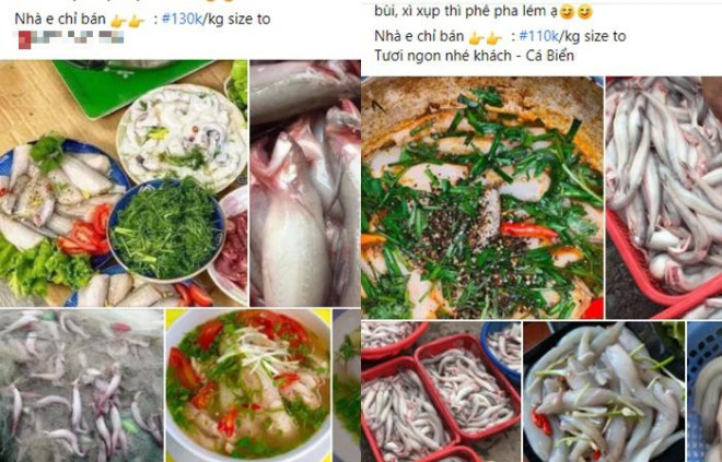Cá khoai vào mùa "phủ trắng" chợ mạng.