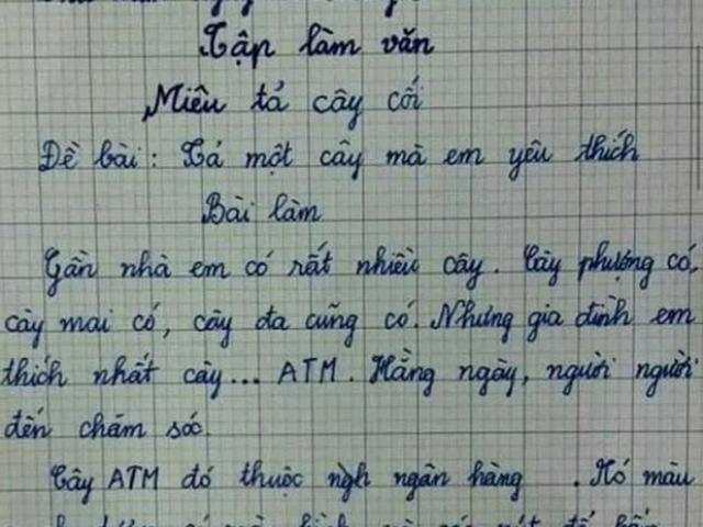 Bạn trẻ - Cuộc sống - Bài văn tả cái cây của học sinh lớp 3 khiến cô giáo "đứng hình", đọc tên cây mà nhiều người lớn sững sờ