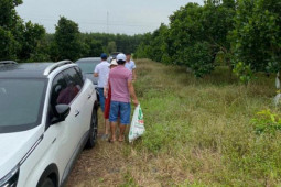 Kinh doanh - Đất nền lên cơn sốt, nhiều nhà đầu tư chưa cần đi xem đã nhanh tay chốt cọc