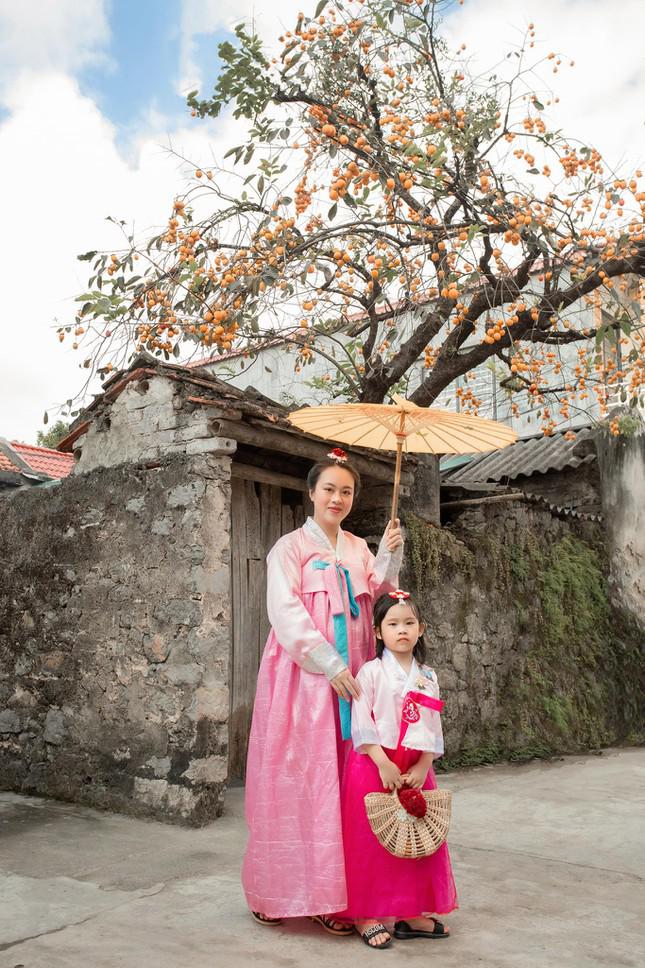 Cây hồng gần 200 tuổi tại Hoa Lư, Ninh Bình giữa khung cảnh như trong phim cổ trang Hàn Quốc.