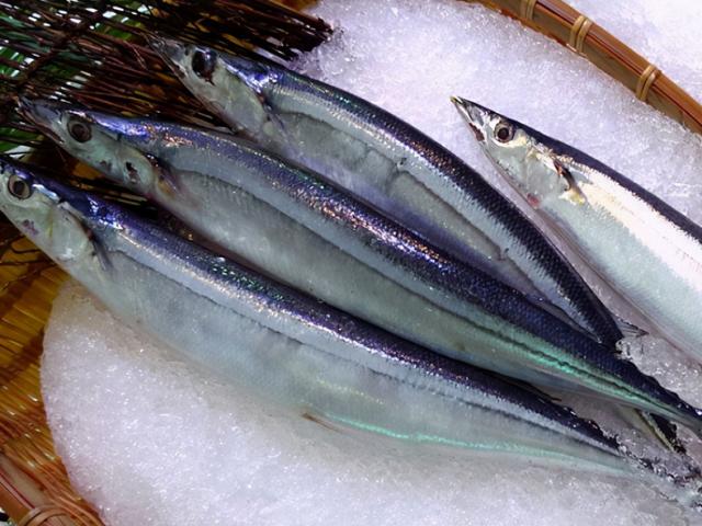 Ẩm thực - 4 loại cá này ít bán trong chợ, nếu thấy nên mua ngay vì sạch lại bổ dưỡng