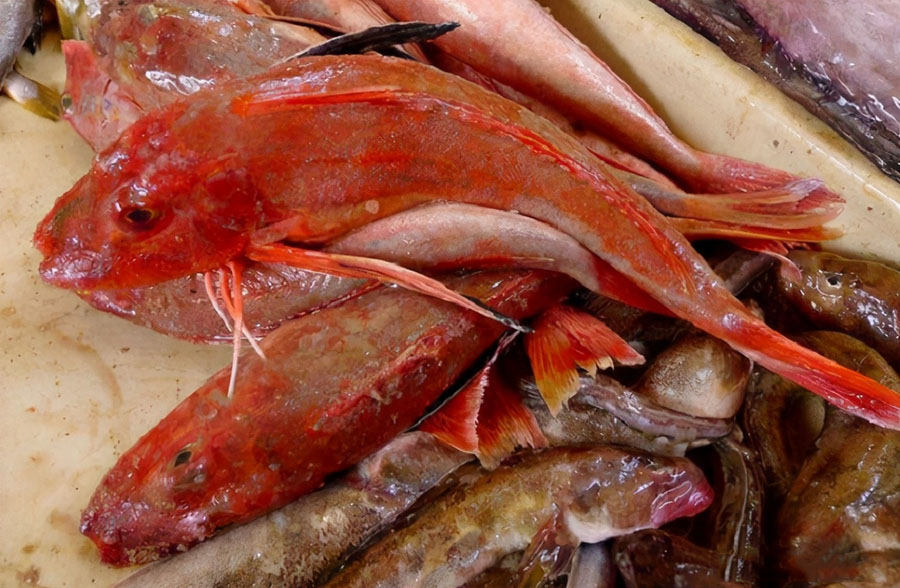 4 loại cá này ít bán trong chợ, nếu thấy nên mua ngay vì sạch lại bổ dưỡng - 1