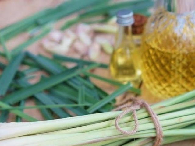 Sức khỏe đời sống - 7 lợi ích tuyệt vời từ cây sả