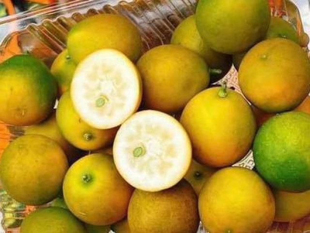 Thị trường - Tiêu dùng - Loại quả từng gây sốt với giá gần nửa triệu bất ngờ "rớt thảm", chưa đến 30.000 đồng/hộp