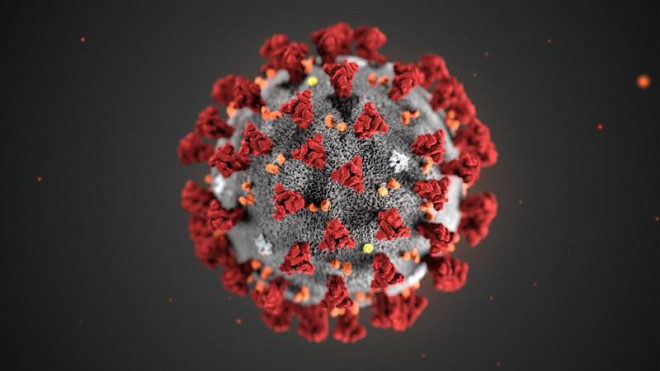 Ảnh minh họa cấu trúc của virus&nbsp;SARS-CoV-2. Ảnh: NPR