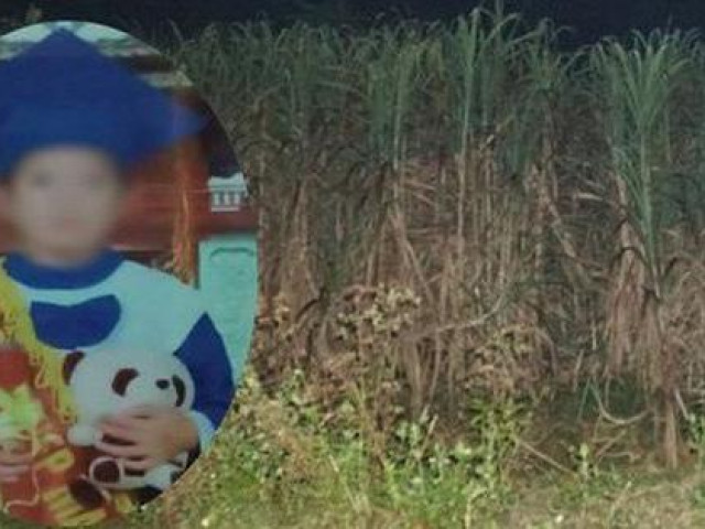 Pháp luật - Dấu vết "lạ" trên ống tay áo và tội ác nhẫn tâm của người phụ nữ