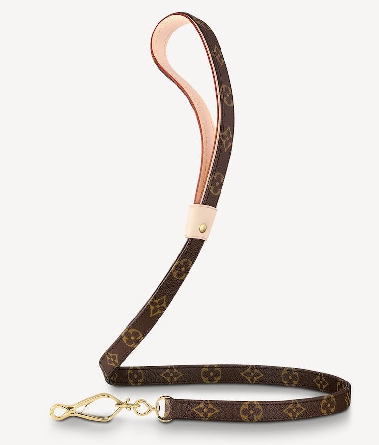 Thời trang thú cưng lên ngôi mùa Giáng sinh - 8