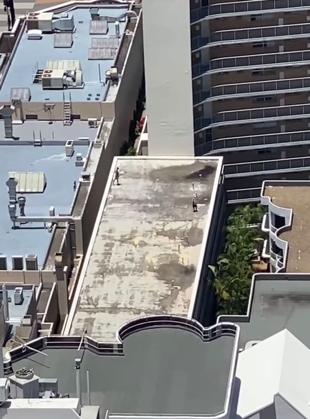 Hai thanh niên chơi trò mạo hiểm trên nóc tòa nhà cao tầng.