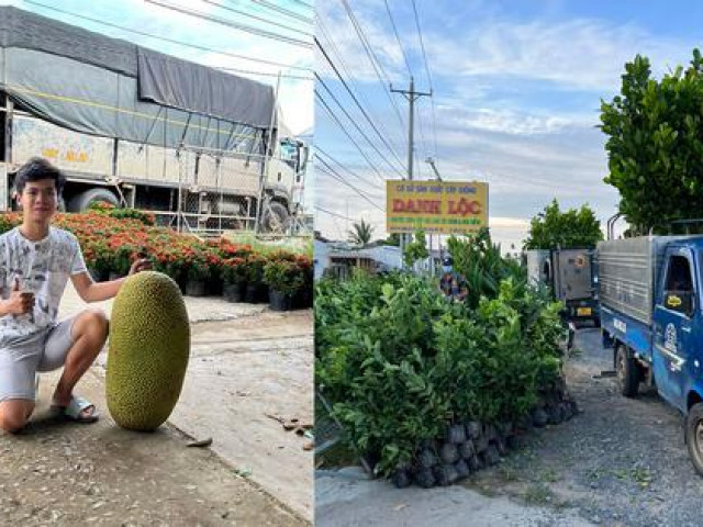 Bạn trẻ - Cuộc sống - Hành trình kinh doanh cây giống của nam sinh tuổi 19