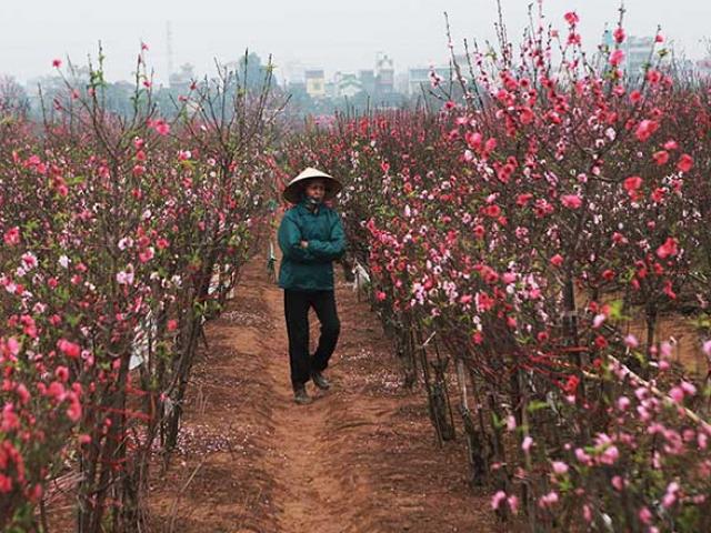 Tin tức trong ngày - Tin tức 24h qua: Năm 2022, người lao động dự kiến được nghỉ 22 ngày dịp lễ, Tết