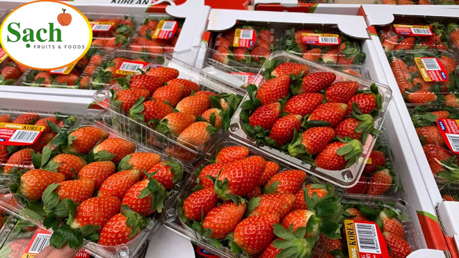 Sạch Fruits - Hoa quả sạch từ tâm người bán đến tay người dùng - 3