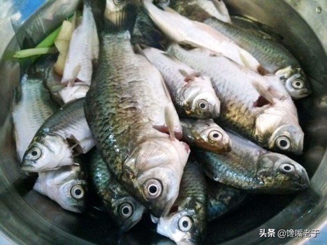 5 loại cá vừa ngon vừa bổ người đi chợ thông minh không thể bỏ qua trong mùa đông - 4