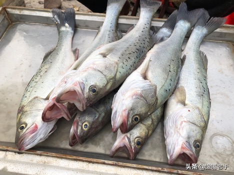 5 loại cá vừa ngon vừa bổ người đi chợ thông minh không thể bỏ qua trong mùa đông - 6