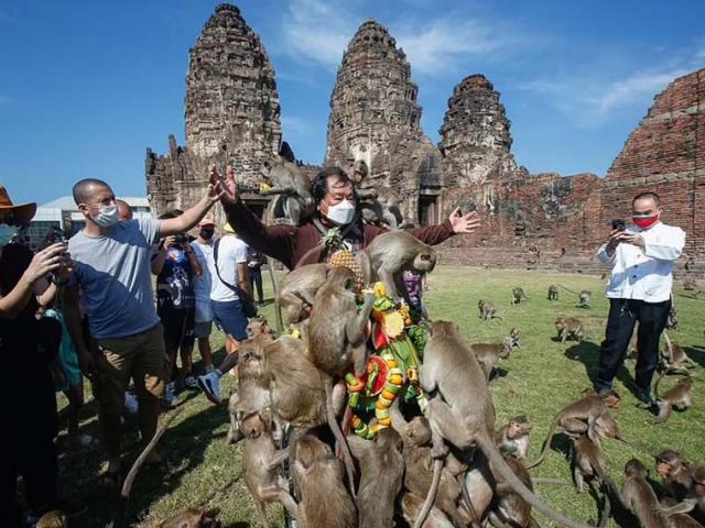 Du lịch - 1000 con khỉ đói làm náo loạn lễ hội mới nhất ở Thái Lan, cảnh tượng ai cũng sốc