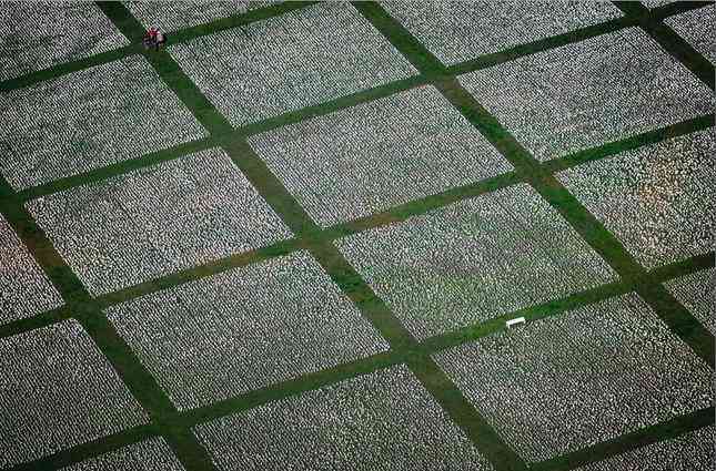 24. Rừng nến được thắp lên ở khu
tượng đài gần thủ đô Washington D.C., Mỹ, ngày 19/9, để tưởng nhớ
những người Mỹ đã qua đời vì COVID-19. (Ảnh: Getty Images)