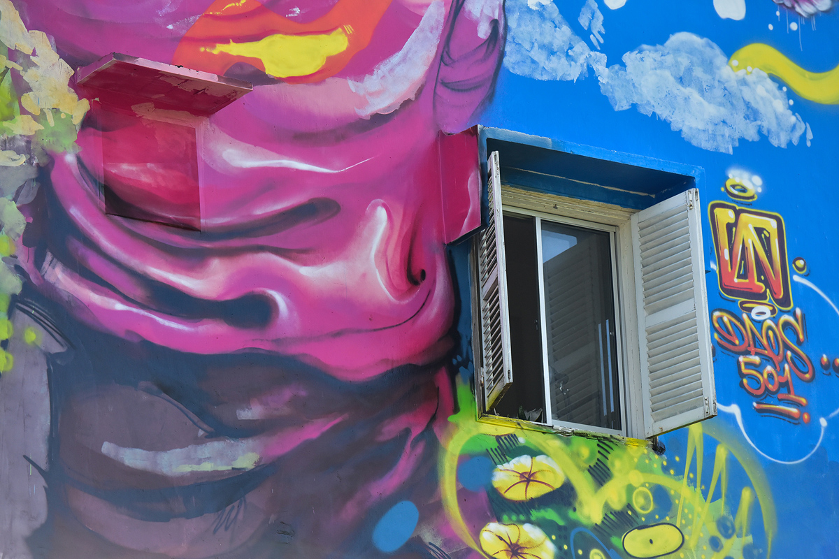 Dùng xe cẩu vẽ tranh khổng lồ lên tường chung cư ở TP.HCM - 13